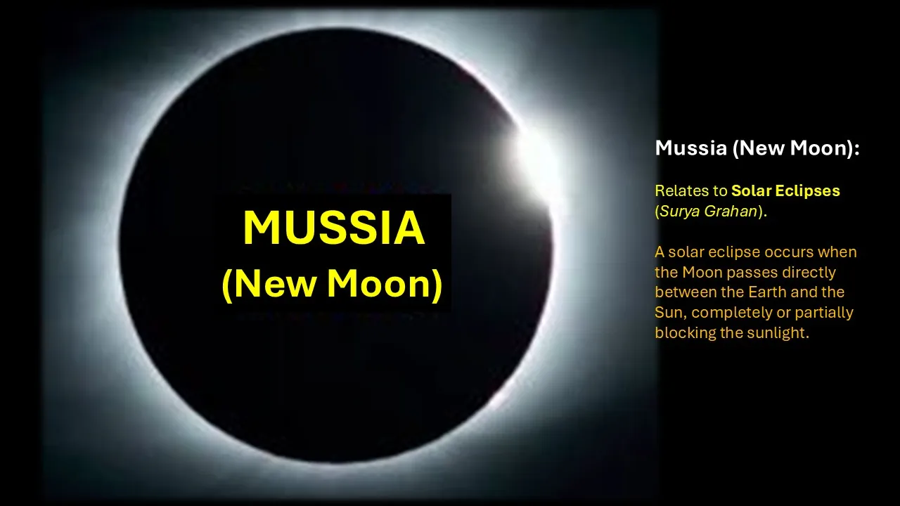 Mussia